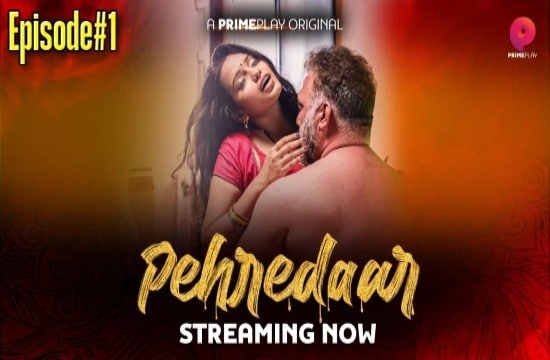 pehredaar prime play hindi porn video - XNXX TV